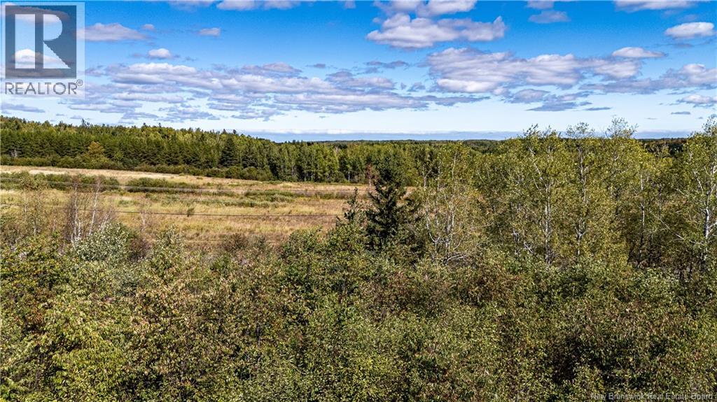 Lot 79-9 De La Traverse, Saint-Paul, New Brunswick  E4T 3M6 - Photo 15 - NB126178