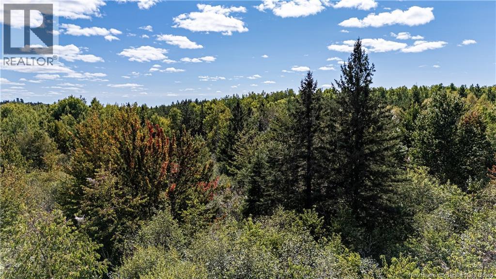Lot 79-9 De La Traverse, Saint-Paul, New Brunswick  E4T 3M6 - Photo 17 - NB126178
