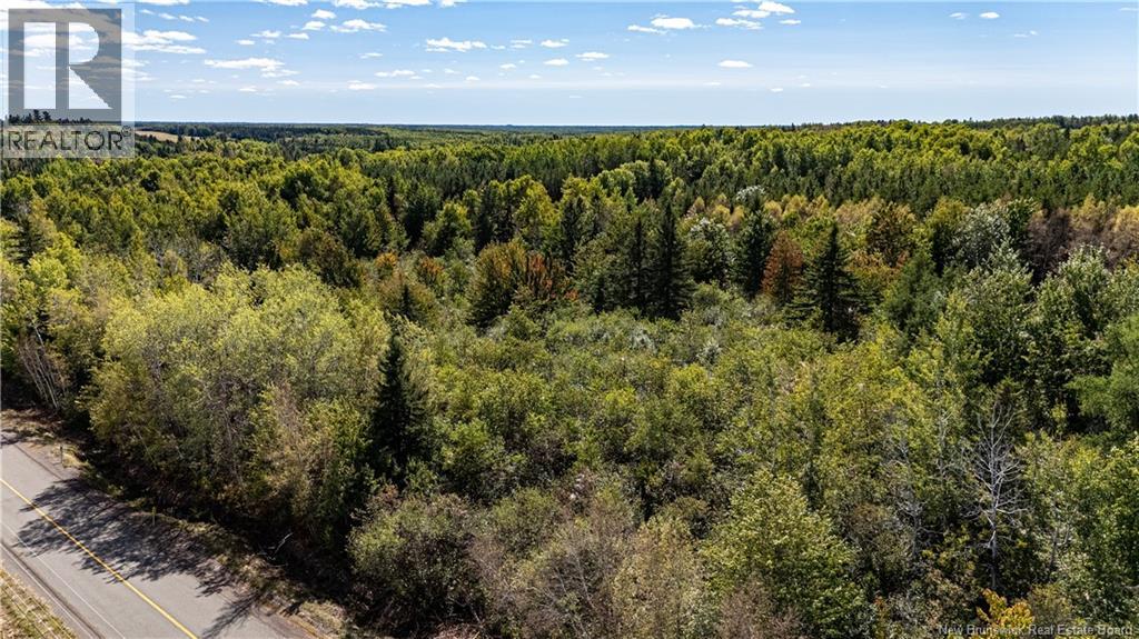 Lot 79-9 De La Traverse, Saint-Paul, New Brunswick  E4T 3M6 - Photo 20 - NB126178