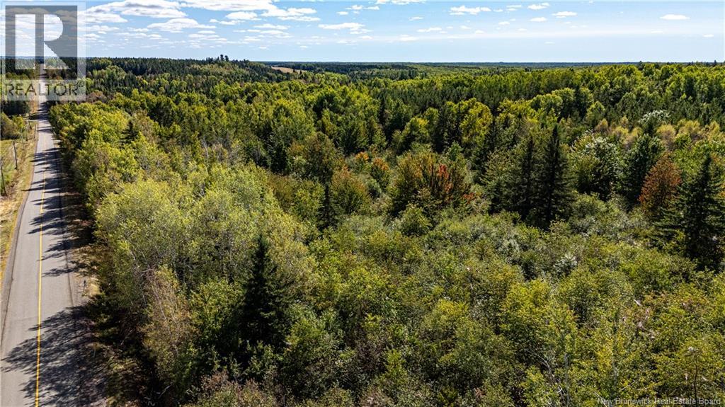 Lot 79-8 De La Traverse, Saint-Paul, New Brunswick  E4T 3M6 - Photo 26 - NB126177