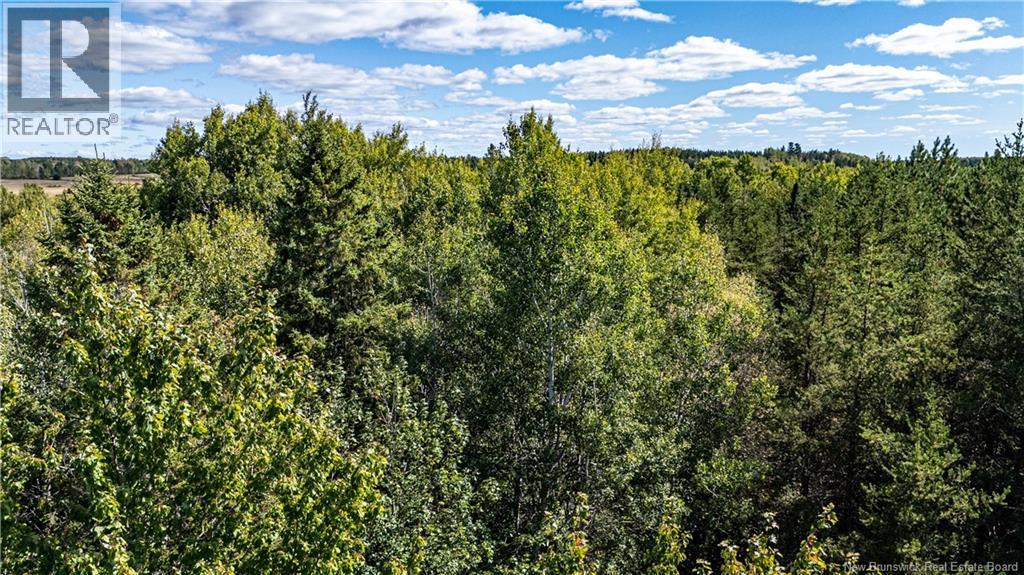 Lot 79-6 De La Traverse, Saint-Paul, New Brunswick