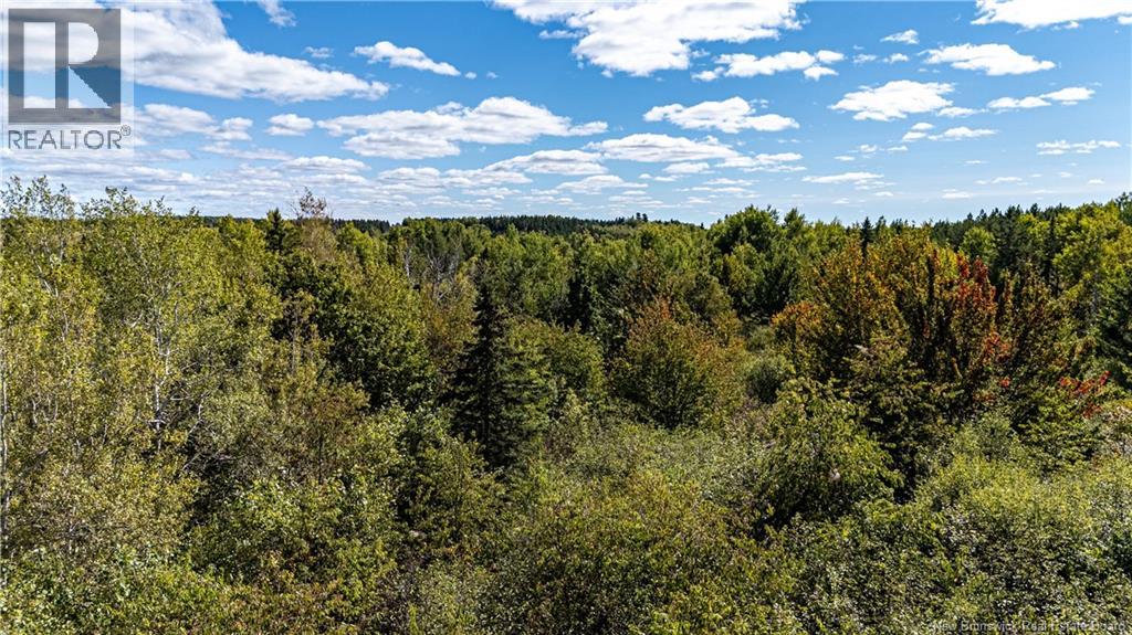 Lot 79-6 De La Traverse, Saint-Paul, New Brunswick  E4T 3M6 - Photo 20 - NB126175