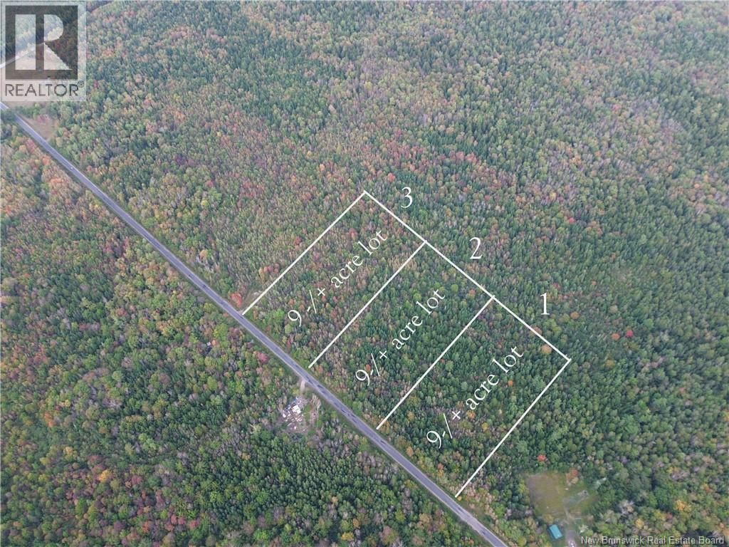 Lot 3 Bronson Sett Road, Bronson Settlement, New Brunswick  O0O 0O0 - Photo 1 - NB126995
