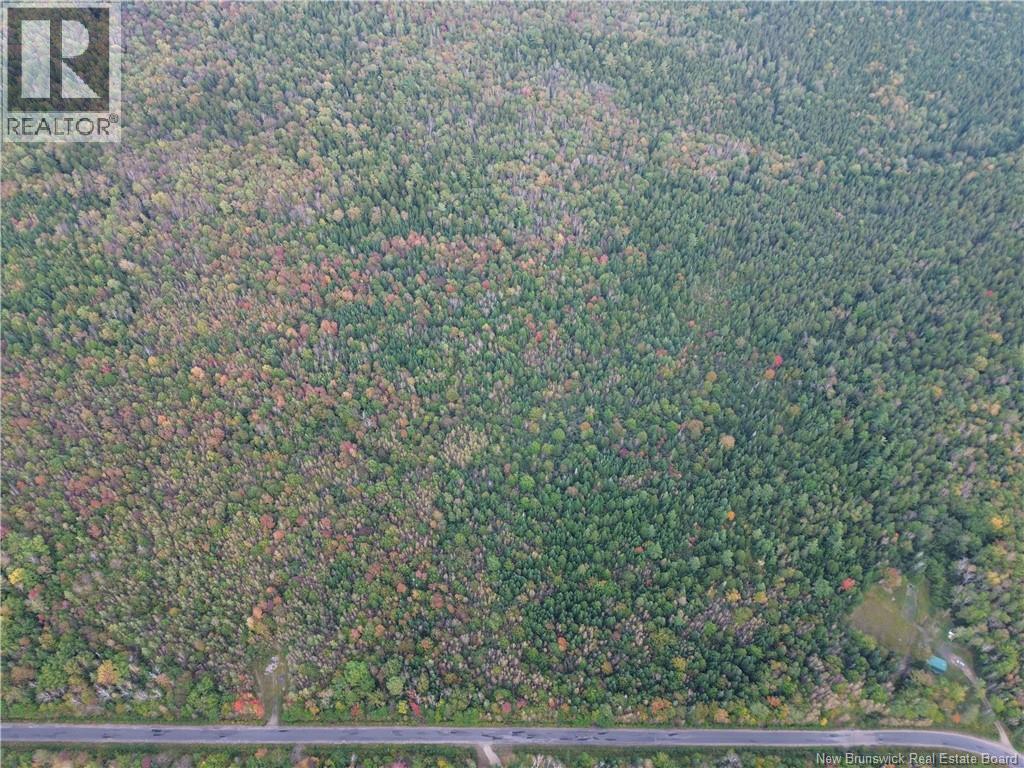 Lot 3 Bronson Sett Road, Bronson Settlement, New Brunswick  O0O 0O0 - Photo 3 - NB126995