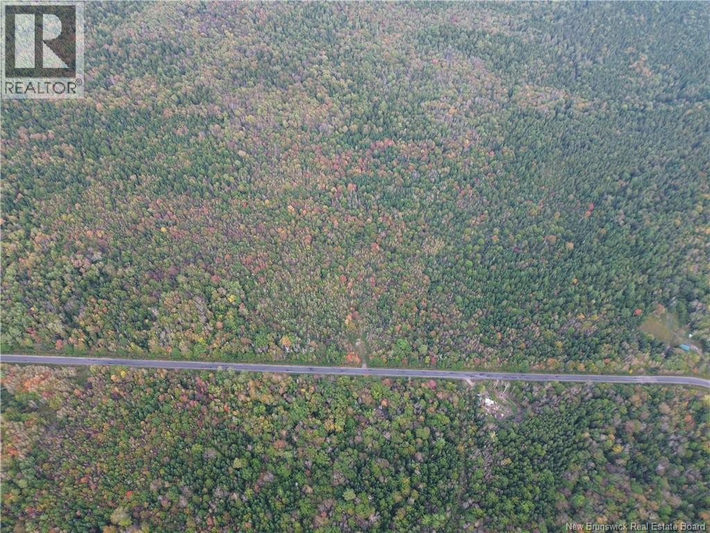 Lot 3 Bronson Sett Road, Bronson Settlement, New Brunswick  O0O 0O0 - Photo 5 - NB126995