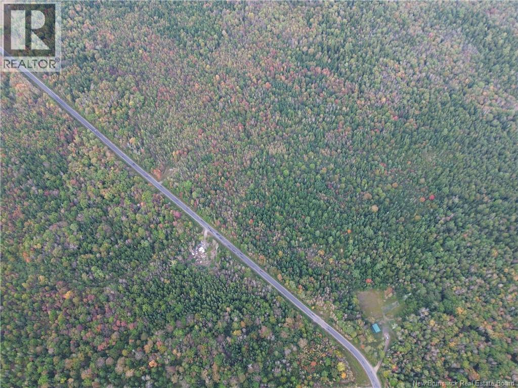 Lot 2 Bronson Sett Road, Bronson Settlement, New Brunswick  O0O 0O0 - Photo 6 - NB126994