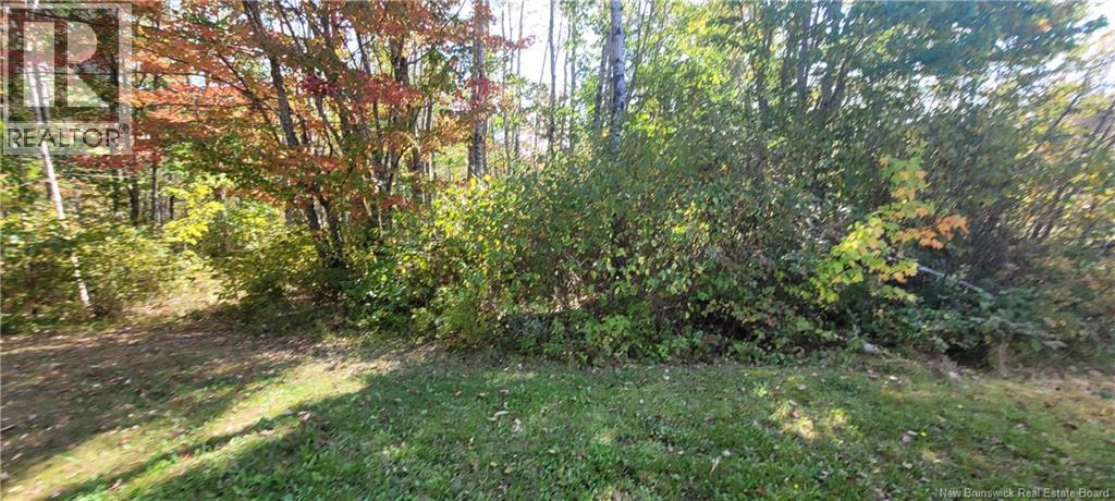 56 Vacation Lane, South Canaan, New Brunswick  E4Z 3R9 - Photo 8 - NB126916