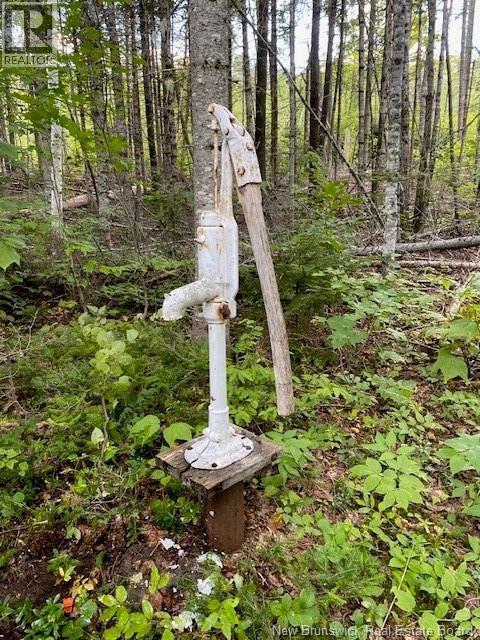 Camp Berry Road, Elgin, New Brunswick  E4Z 2R9 - Photo 10 - NB127074
