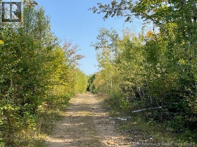 Camp Berry Road, Elgin, New Brunswick  E4Z 2R9 - Photo 12 - NB127074