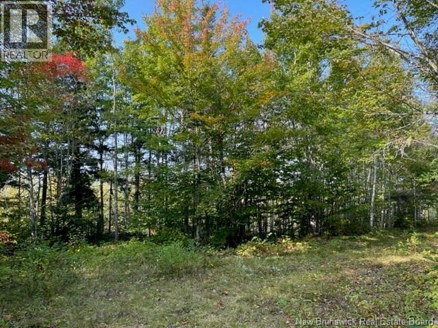 Camp Berry Road, Elgin, New Brunswick  E4Z 2R9 - Photo 14 - NB127074