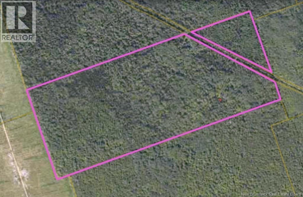 Camp Berry Road, Elgin, New Brunswick  E4Z 2R9 - Photo 2 - NB127074