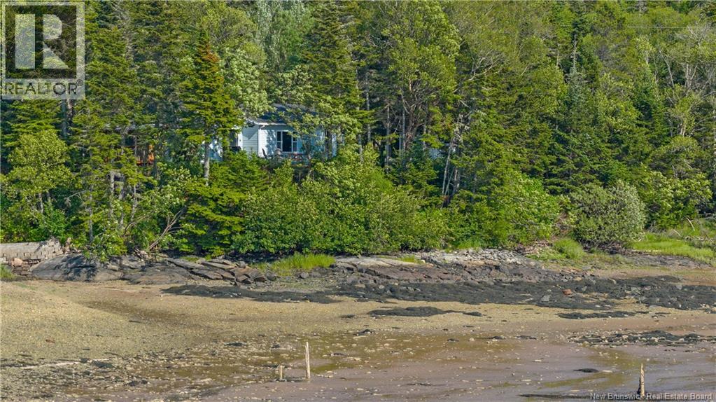 229 Mccarthy's Point Road, Pocologan, New Brunswick  E5J 1A7 - Photo 45 - NB127085