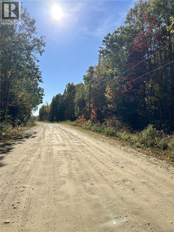 Lot Saint-Augustine Road, Beersville, New Brunswick  E4T 2N8 - Photo 2 - NB126945