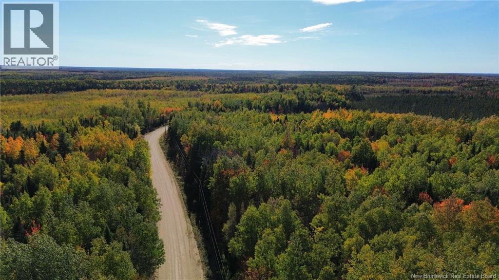 Lot Saint-Augustine Road, Beersville, New Brunswick  E4T 2N8 - Photo 5 - NB126945