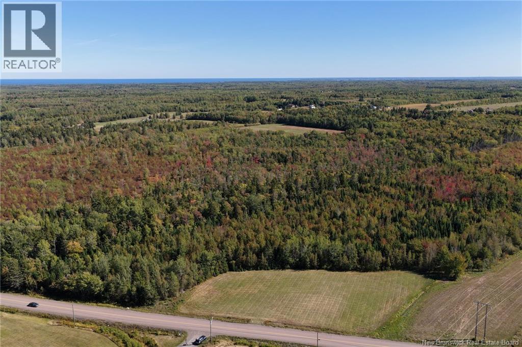 Tbd Route 115, Mckees Mills, New Brunswick  E4V 2V8 - Photo 1 - NB126940
