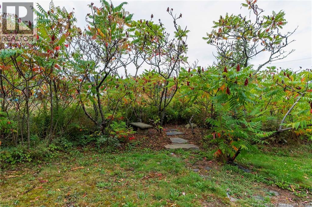 498 Chartersville Road, Dieppe, New Brunswick  E1A 1K6 - Photo 49 - NB127018