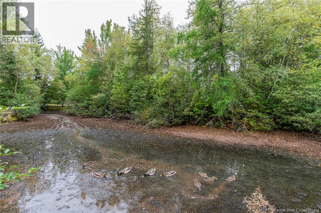 498 Chartersville Road, Dieppe, New Brunswick  E1A 1K6 - Photo 50 - NB127018