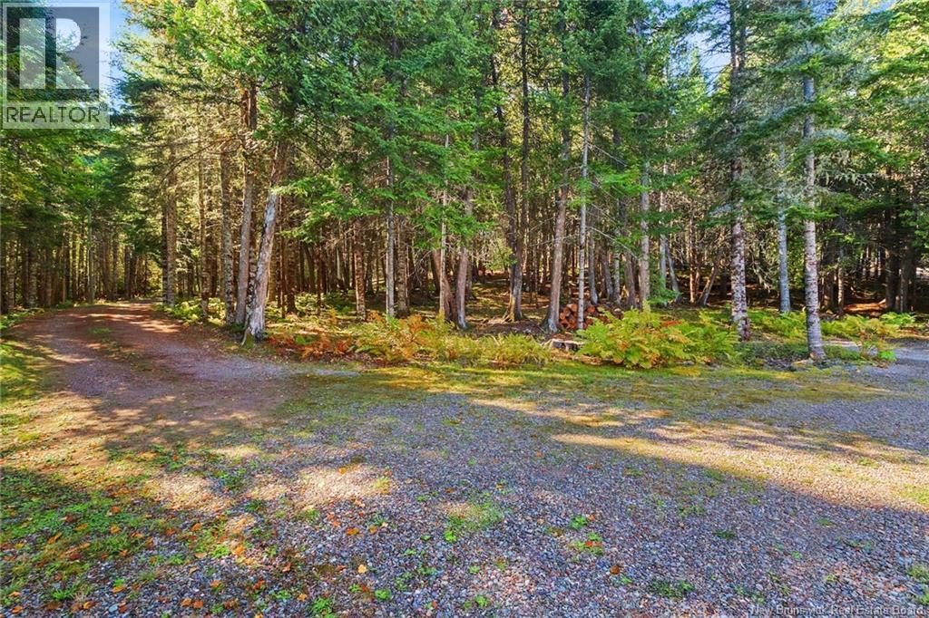 27 Thomas Lane, Long Creek, New Brunswick  E4C 4S9 - Photo 43 - NB127194