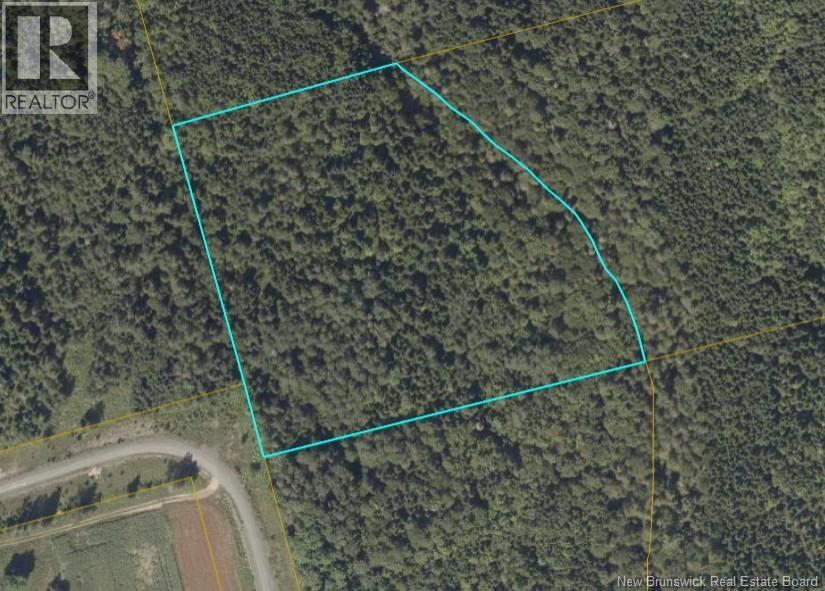 0 103 Route, Connell, New Brunswick  A0A 0A0 - Photo 1 - NB127157