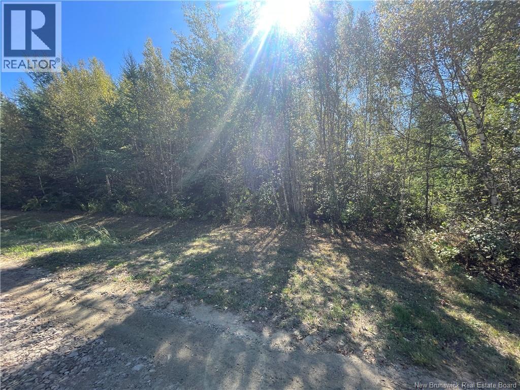 Lot Maxime, Saint-Louis-De-Kent, New Brunswick  E4X 1W1 - Photo 3 - NB127198