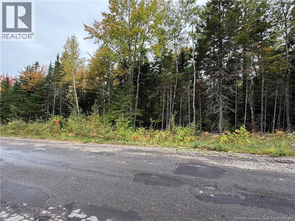 Lot Nickerson Point Road, Wickham, New Brunswick