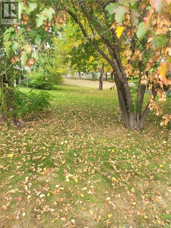 121 Prince Albert Street, Woodstock, New Brunswick  E7M 2L9 - Photo 3 - NB127349