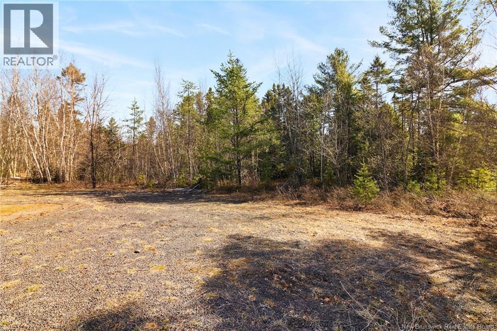 52 Mcleod Avenue, Chipman, New Brunswick  E4A 2B8 - Photo 24 - NB127351