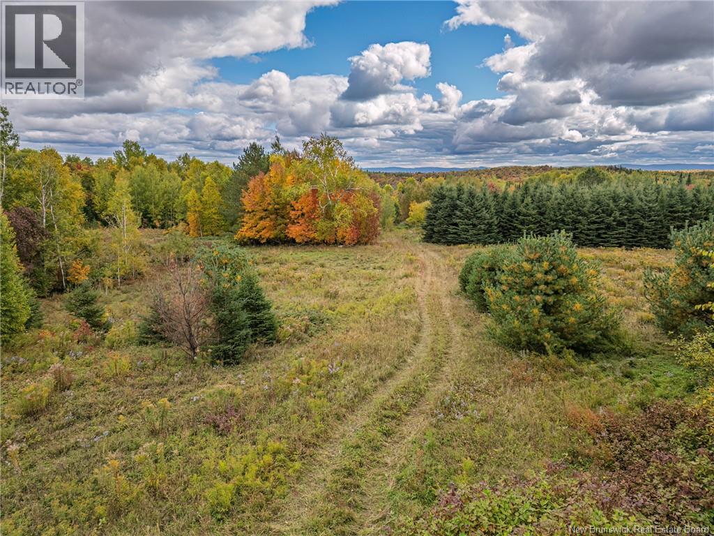 283 Currie Road, Tilley, New Brunswick  E7H 1W2 - Photo 9 - NB127362