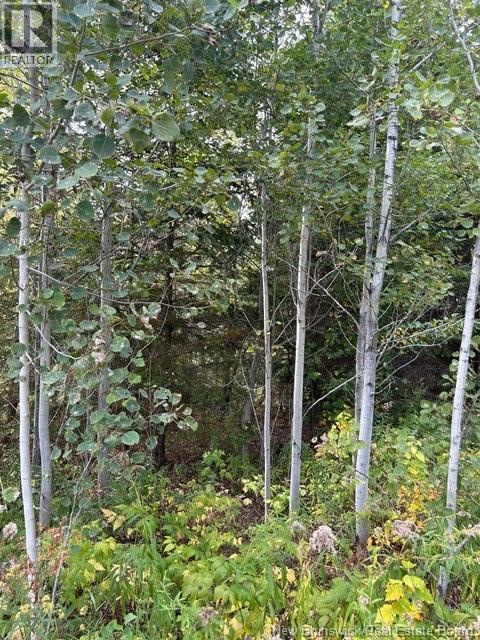 0 885 Route, Kinnear Settlement, New Brunswick  E4Z 5A1 - Photo 12 - NB127323