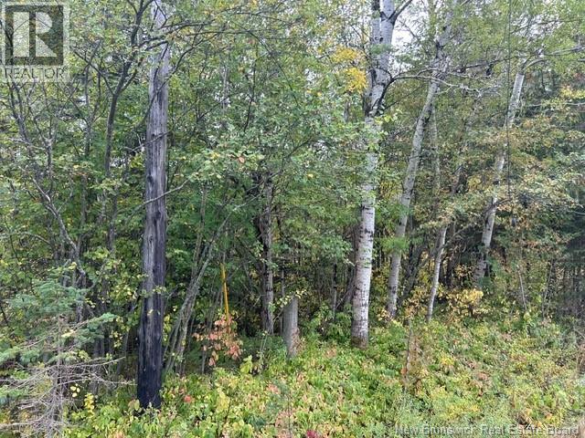 0 885 Route, Kinnear Settlement, New Brunswick  E4Z 5A1 - Photo 13 - NB127323