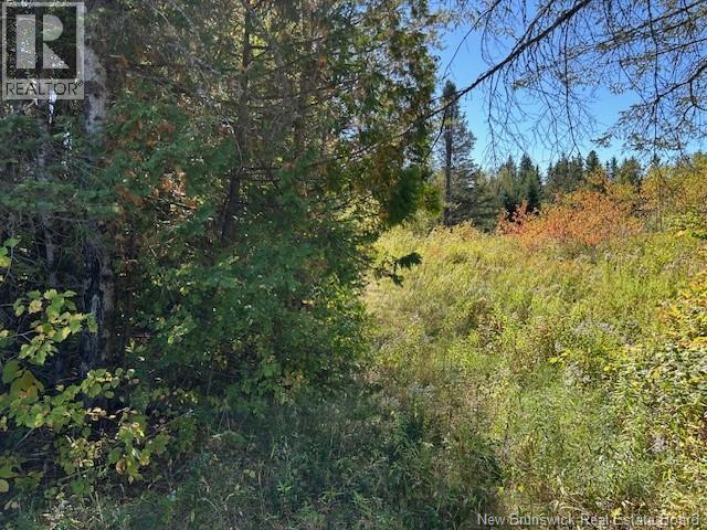 0 885 Route, Kinnear Settlement, New Brunswick  E4Z 5A1 - Photo 16 - NB127323