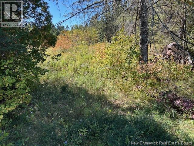 0 885 Route, Kinnear Settlement, New Brunswick  E4Z 5A1 - Photo 18 - NB127323