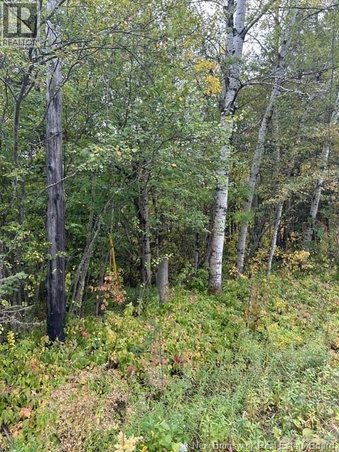 0 885 Route, Kinnear Settlement, New Brunswick  E4Z 5A1 - Photo 3 - NB127323