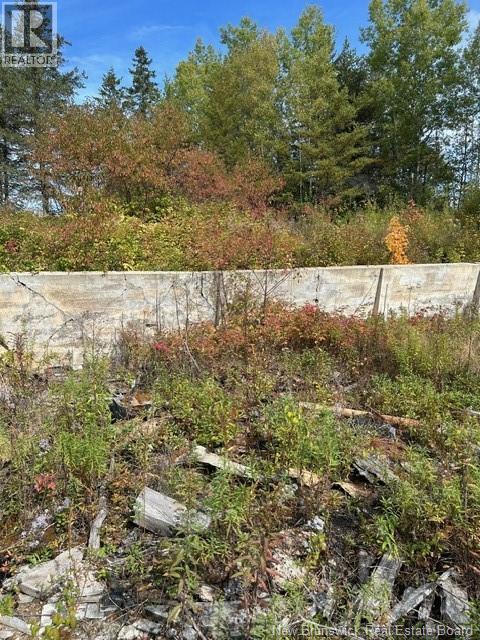 0 885 Route, Kinnear Settlement, New Brunswick  E4Z 5A1 - Photo 8 - NB127323