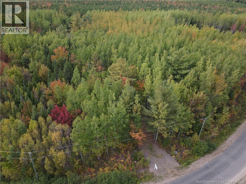 Lot Sunset View Lane, Youngs Cove, New Brunswick  E4A 0B3 - Photo 6 - NB127175