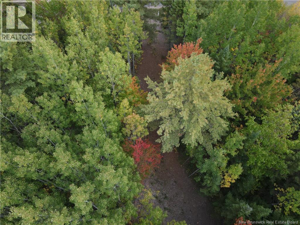 Lot Sunset View Lane, Youngs Cove, New Brunswick  E4A 0B3 - Photo 9 - NB127175