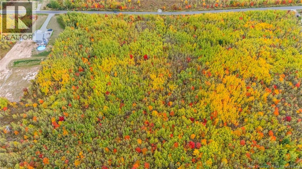 21-4 Middlesex, Colpitts Settlement, New Brunswick  E4J 1G7 - Photo 17 - NB127434
