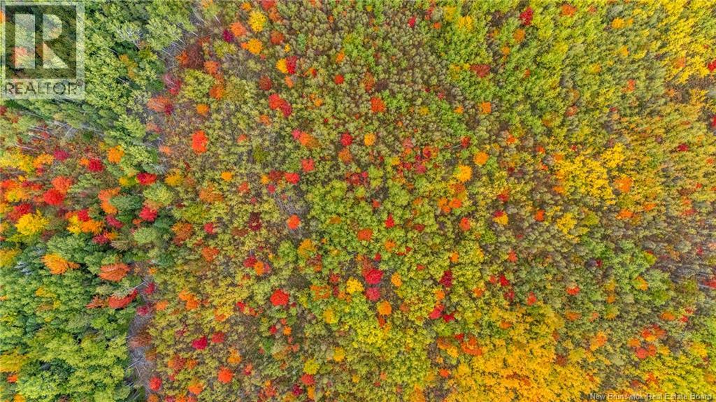 21-4 Middlesex, Colpitts Settlement, New Brunswick  E4J 1G7 - Photo 18 - NB127434