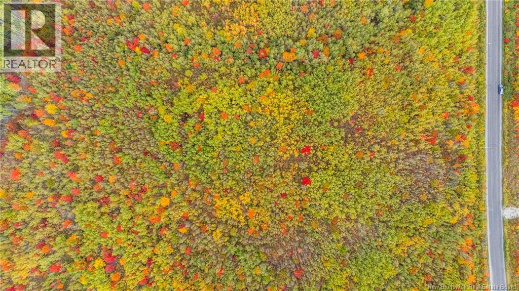 21-4 Middlesex, Colpitts Settlement, New Brunswick  E4J 1G7 - Photo 19 - NB127434