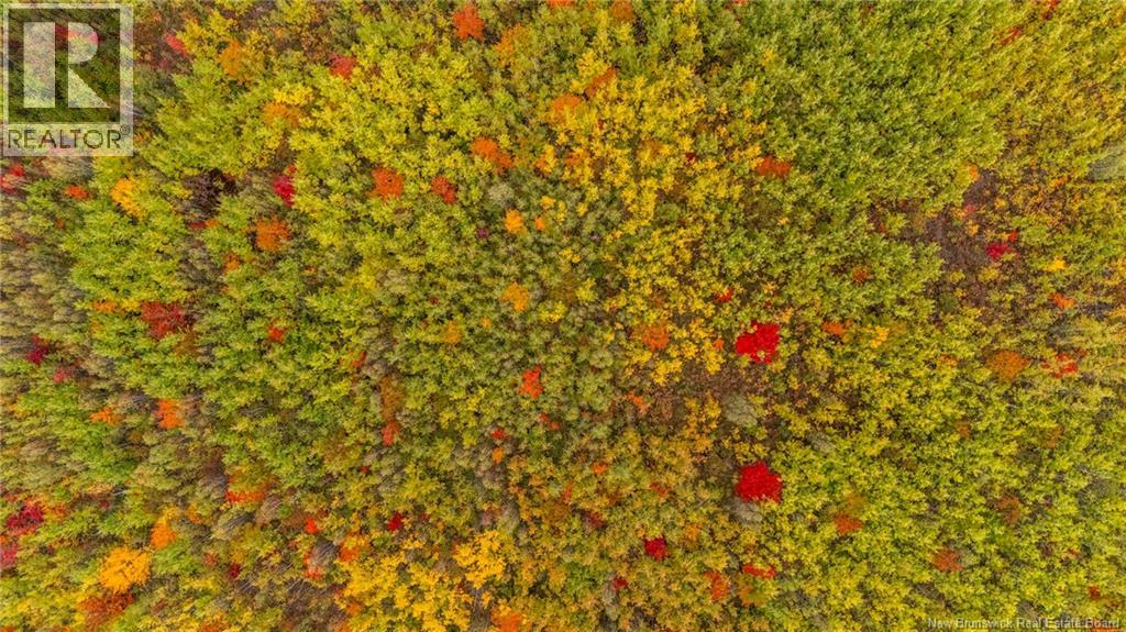 21-4 Middlesex, Colpitts Settlement, New Brunswick  E4J 1G7 - Photo 20 - NB127434
