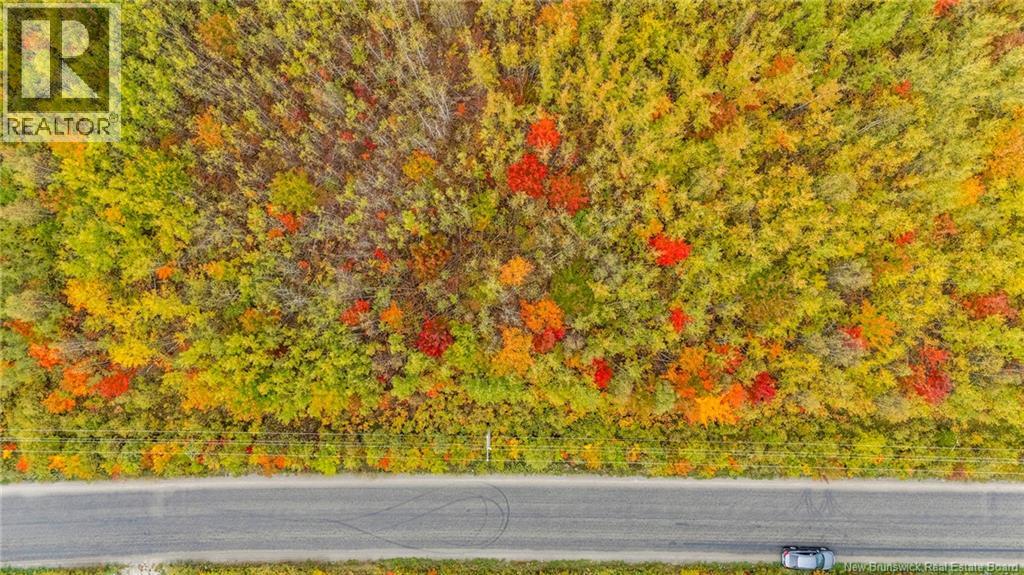 21-4 Middlesex, Colpitts Settlement, New Brunswick  E4J 1G7 - Photo 26 - NB127434