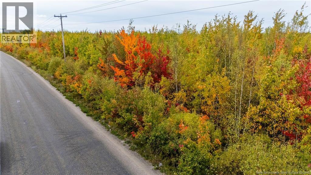 21-4 Middlesex, Colpitts Settlement, New Brunswick  E4J 1G7 - Photo 28 - NB127434