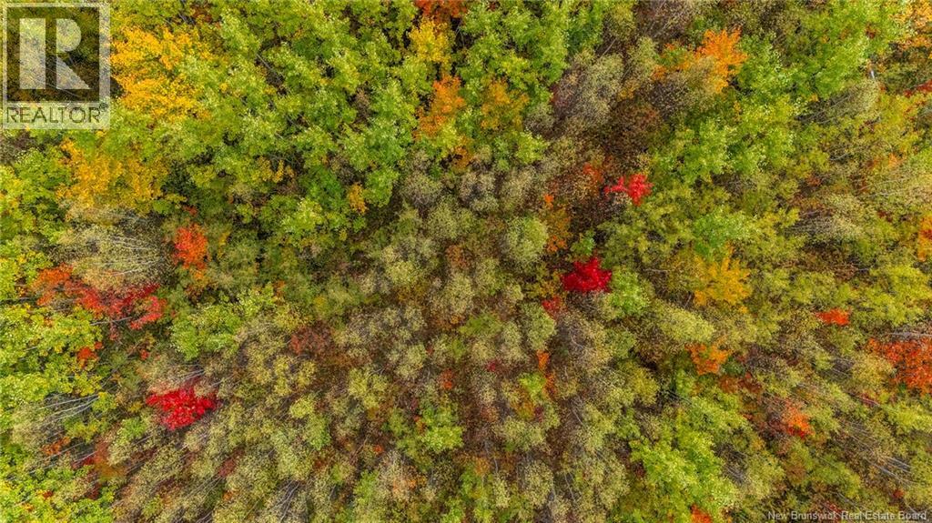 21-4 Middlesex, Colpitts Settlement, New Brunswick  E4J 1G7 - Photo 38 - NB127434