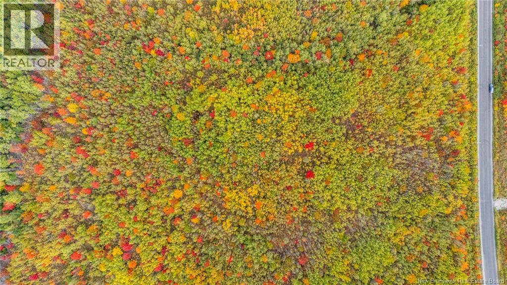 21-4 Middlesex, Colpitts Settlement, New Brunswick  E4J 1G7 - Photo 40 - NB127434