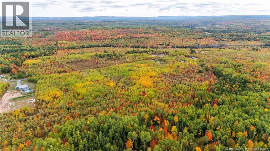 21-3 Middlesex, Colpitts Settlement, New Brunswick E4J 1G7 - Photo 11 - NB127433