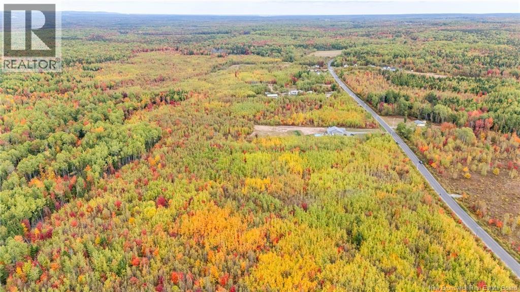 21-3 Middlesex, Colpitts Settlement, New Brunswick E4J 1G7 - Photo 14 - NB127433