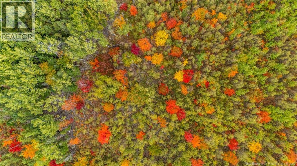 21-3 Middlesex, Colpitts Settlement, New Brunswick E4J 1G7 - Photo 21 - NB127433