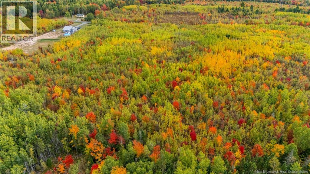 21-3 Middlesex, Colpitts Settlement, New Brunswick E4J 1G7 - Photo 22 - NB127433