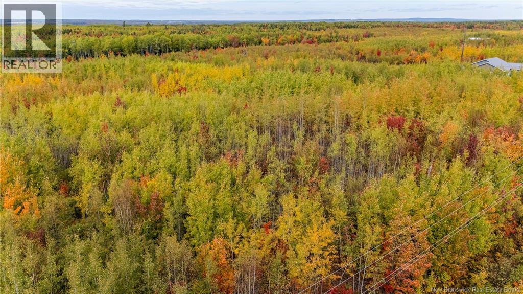 21-3 Middlesex, Colpitts Settlement, New Brunswick E4J 1G7 - Photo 32 - NB127433