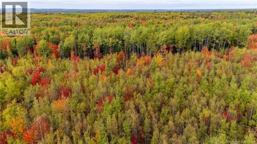 21-3 Middlesex, Colpitts Settlement, New Brunswick E4J 1G7 - Photo 33 - NB127433